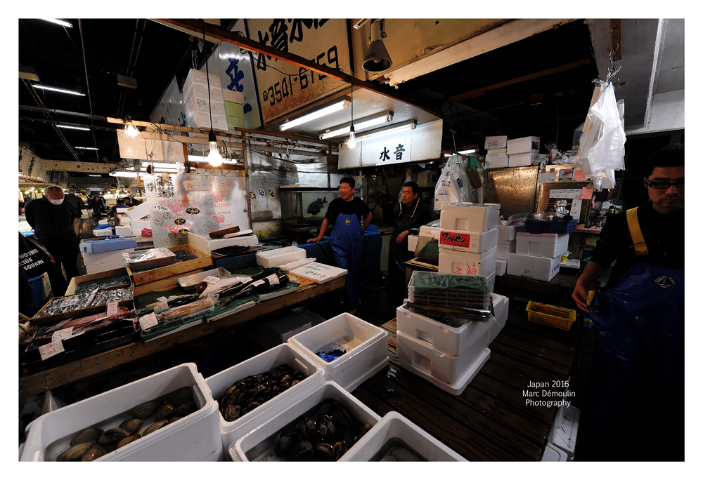 Tsukiji Fish Market - Tokyo 6