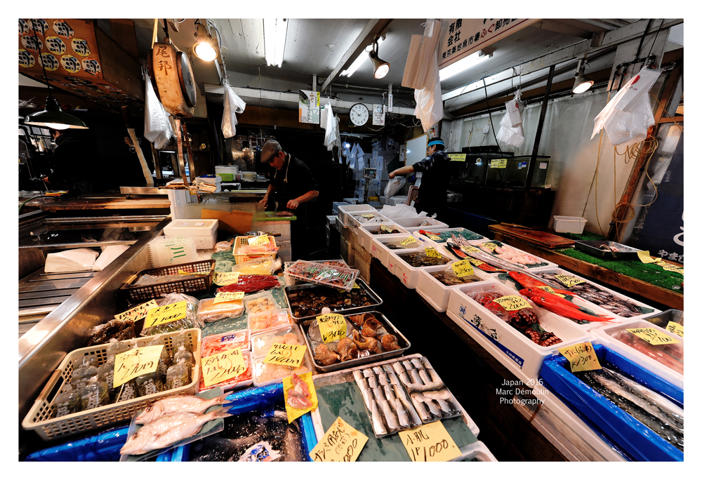 Tsukiji Fish Market - Tokyo 13