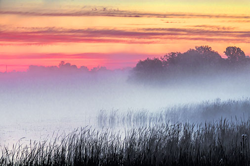 Misty Rideau Canal Sunrise 34722-5