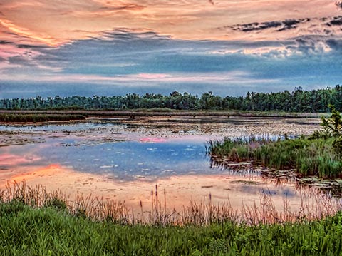 The Swale At Daybreak 20130531