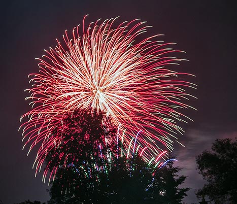 Canada Day 2013 (35374)