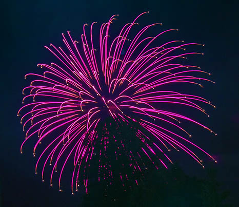 Canada Day 2013 (35365)