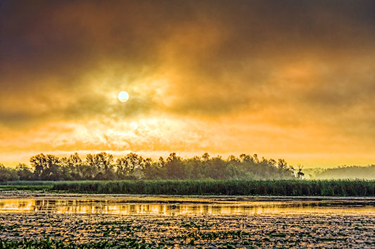 Clouded Sun Over Irish Creek 20130808