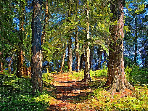 Sylvan Scene DSCF08156 Art