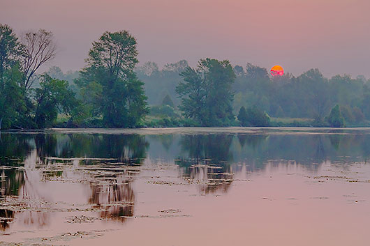 Red Sun Rising 36087-9