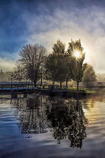 Trees Sun Fog 37764