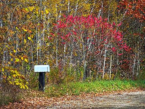 Roadside Mailbox DSCF10545