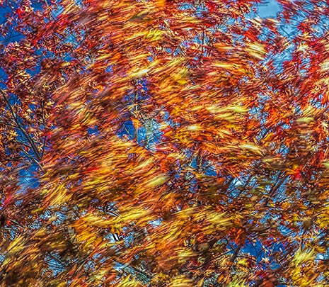 Blowin In The Wind 20131101