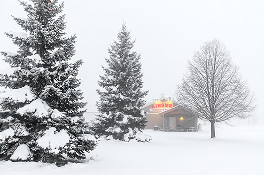 Kinsmen Community Pavilion In Fog 40313