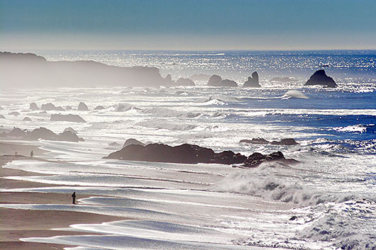 Oregon Coast 21792