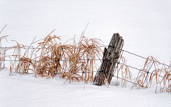 Deep In Snow 20140215