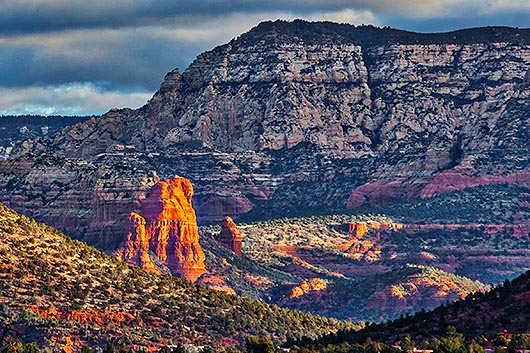 Sedona 29310B