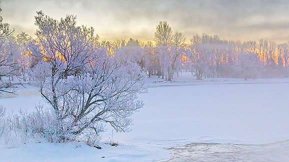 Misty Rideau Canal At Sunrise 20140306