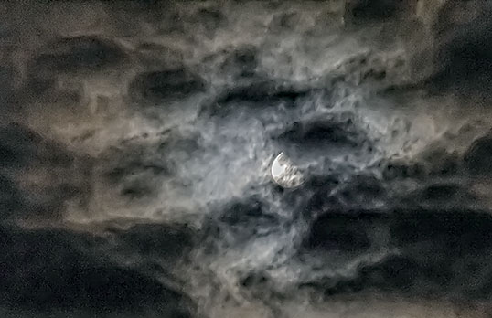 Hiding Moon 43556