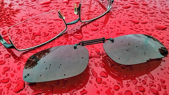 Sunless Shades P1040628-30