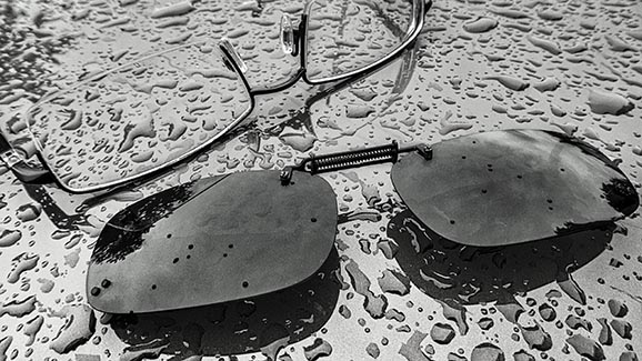 Sunless Shades P1040628-30BW