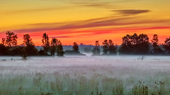 Misty Sunrise 20140628