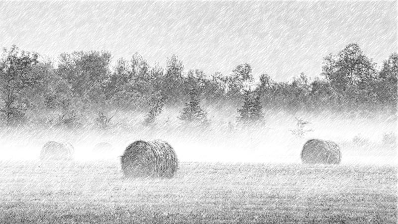 Bales In Misty Sunrise (Pencil) P1070095-7 Art
