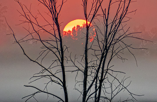 Sunrise Over Ground Fog P1080624