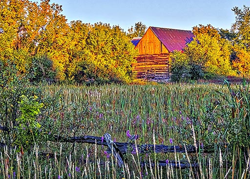 Old Log Barn In Sunrise Glow P1090418-20