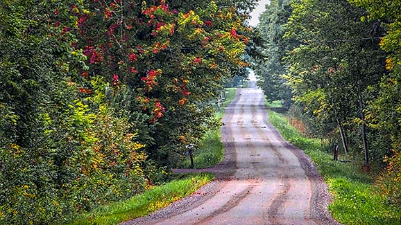 Quiet Back Road DSCF18292-4