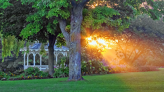 Gazebo & Sunrays P1090719-21