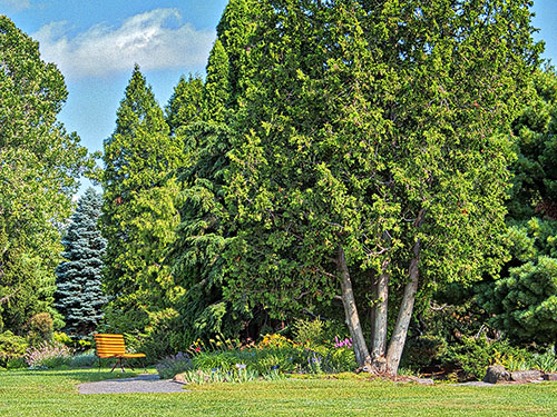 Ornamental Gardens Bench DSCF17433