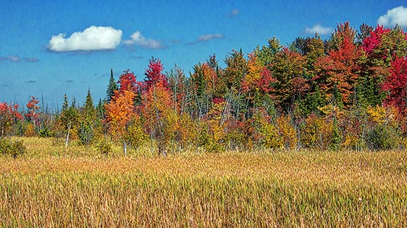 Autumn Landscape DSCF18598-600