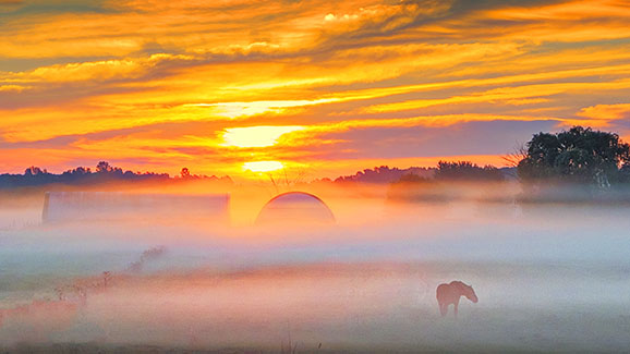 Misty Sunrise 20140925