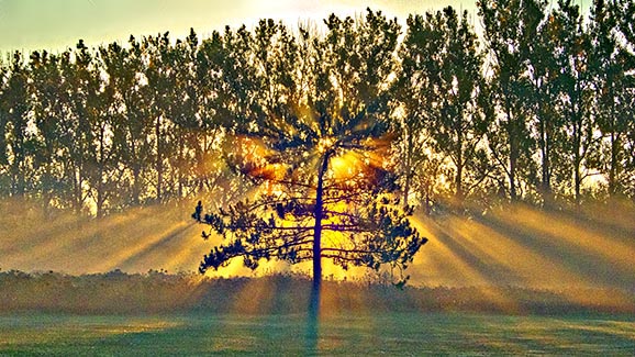 Sunrise Sunrays P1100804