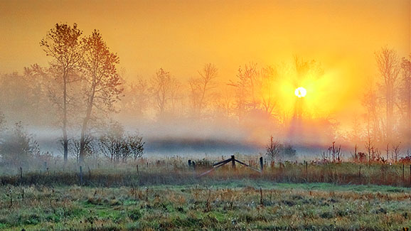 Foggy Sunrise P1100986,8