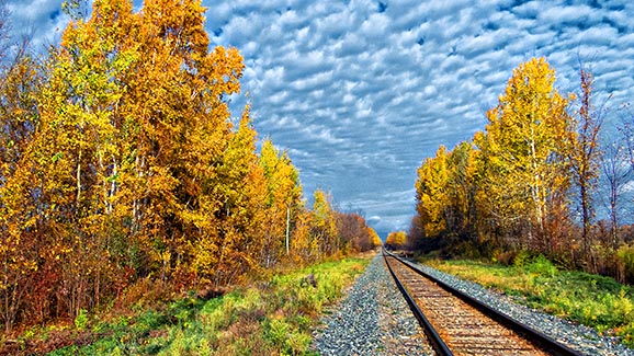 Autumn Tracks P1010359