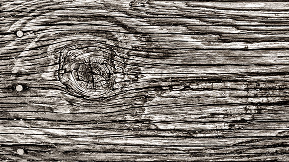 Old Wood DSCF00137