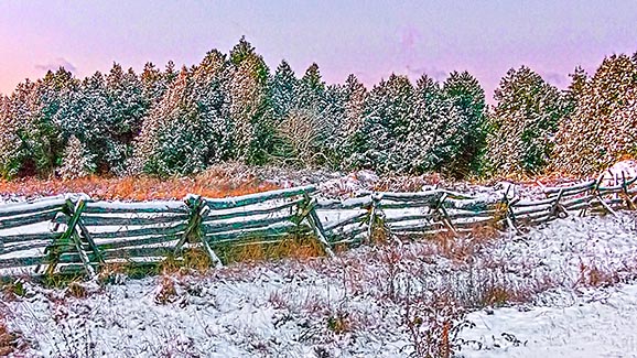 November Snowscape 20141118