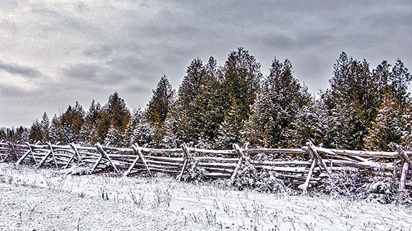 Snowy Split-rail Fence P1040080