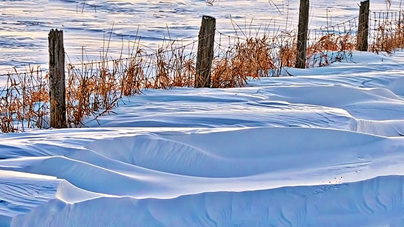 Fence & Drifts P1060547-9