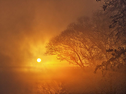 Foggy Sunrise P1080168-70