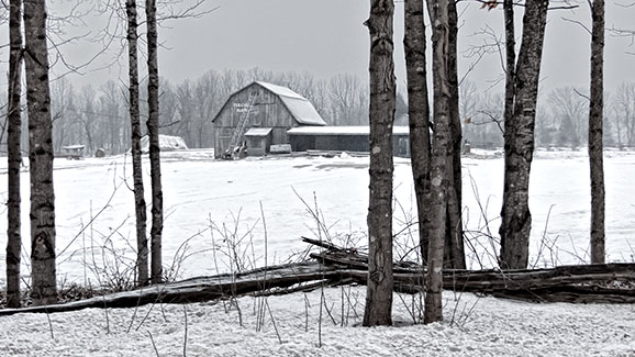Canadian Spring 20150321