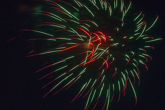 Canada Day 2015 (45506)