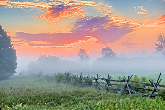 Sunrise Ground Fog P1160905-7