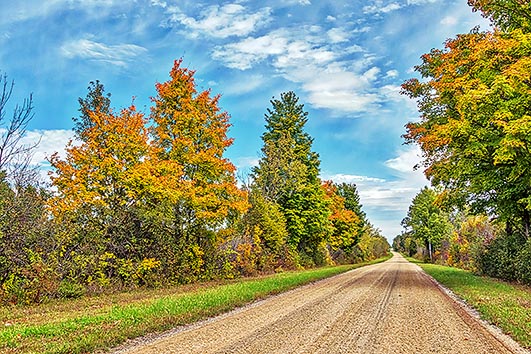 Early Autumn Back Road P1190107-9