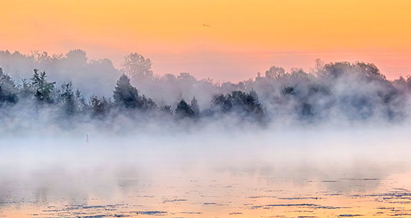 Misty Rideau Canal At Sunrise P1190347-9