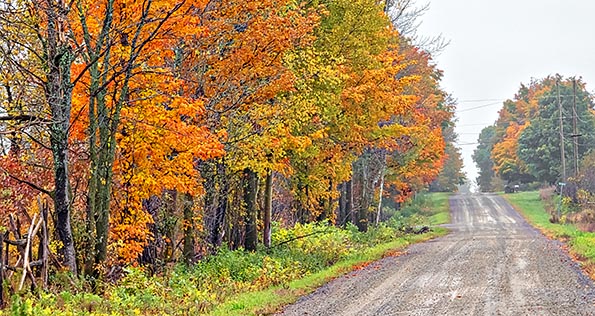 Autumn Back Road P1200169-71