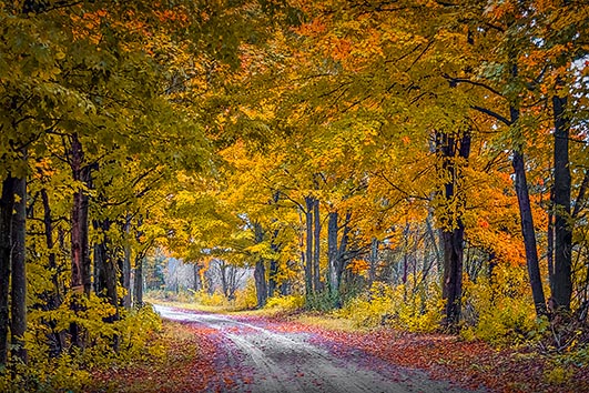 Autumn Back Road P1200254-6