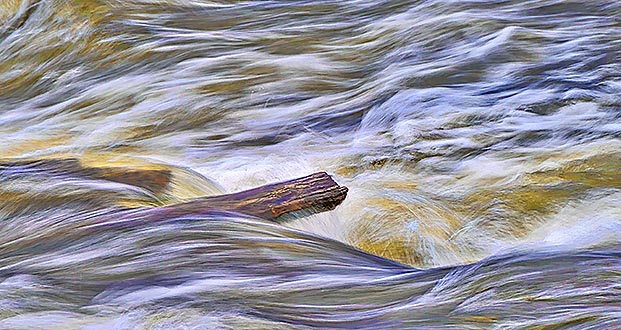 Log In Spring Runoff P1030860