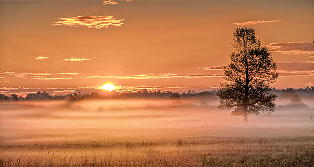 Sunrise Ground Fog P1090273-5