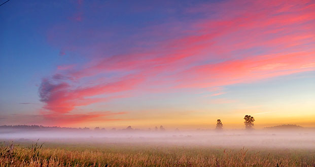 Sunrise Ground Fog P1090357
