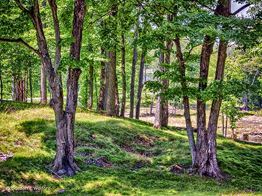 Landscape DSCF14505-7