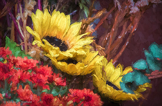 Autumn Flowers Art DSCF23217-9