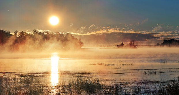 Misty Lower Rideau Lake At Sunrise P1120696-702